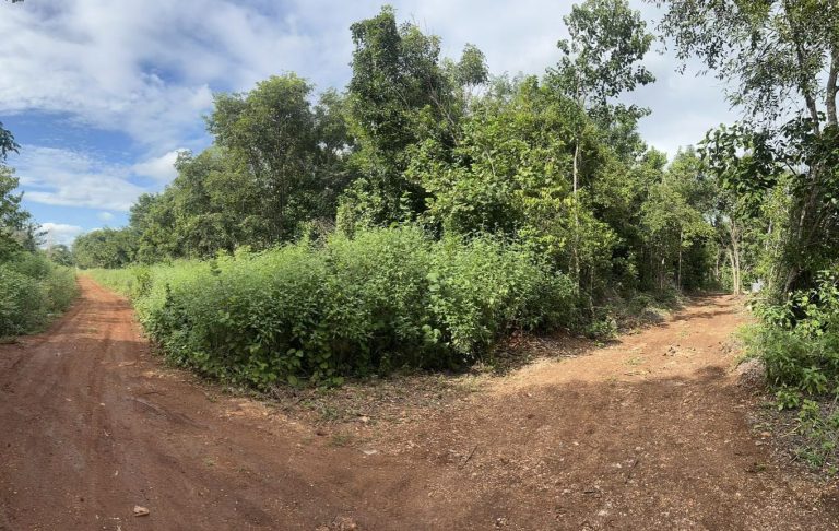 Lote de Terreno Bacalar